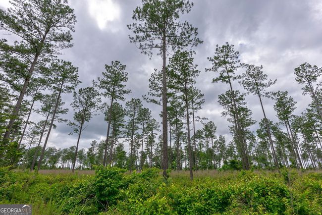 1 Mcwhorter Rd, Home with 0 bedrooms, 0 bathrooms and null parking in Stephens GA | Image 5