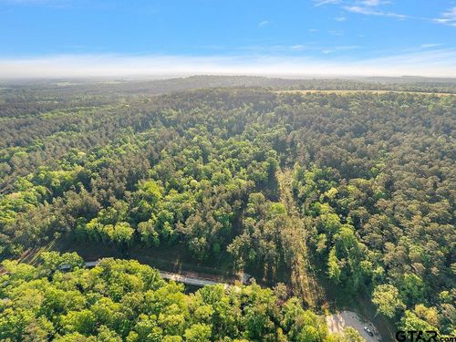 1305 Jackson Dr &Amp; Tbd Hwy 110, Rusk, TX, 75785 | Card Image