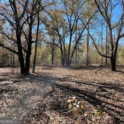 100+/- ACRES EA Pineville Road, Buena Vista, GA, 31803 | Card Image