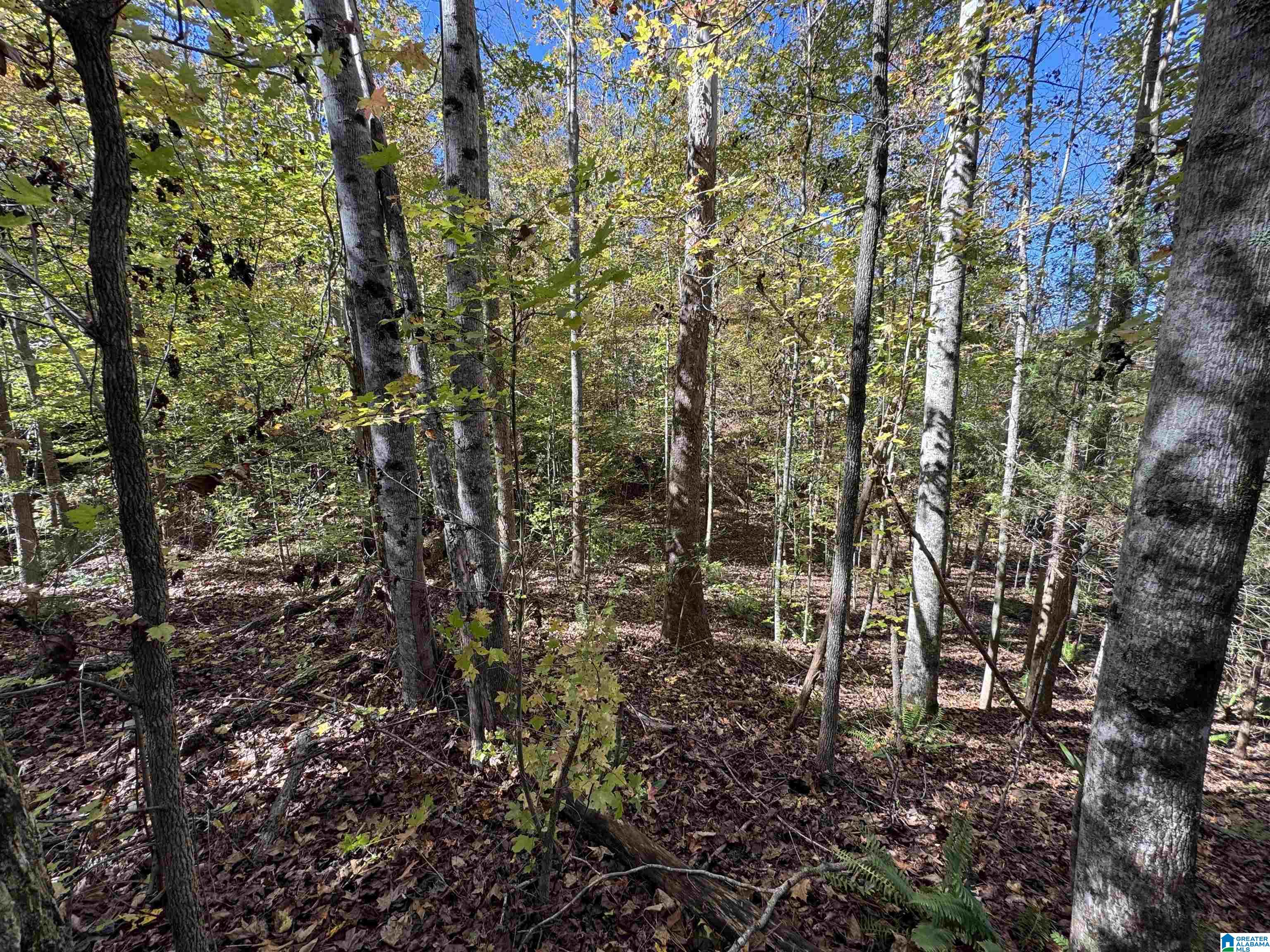 Land in CLANTON 5