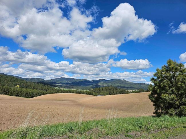 000 E Horton Rd, Home with 0 bedrooms, 0 bathrooms and null parking in Rockford WA | Image 14