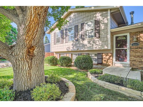 4664 S Zang St, Morrison, CO, 80465-1250 | Card Image