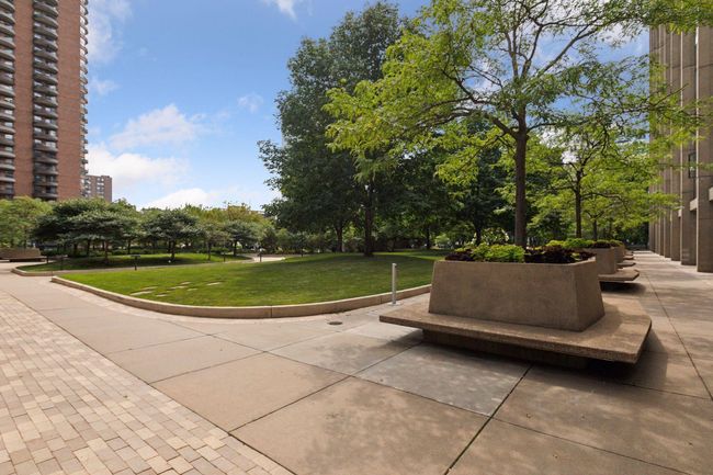 Lush green areas | Image 42