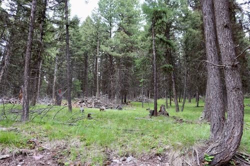 1016 Grandview Dr, Seeley Lake, MT, 59868 | Card Image