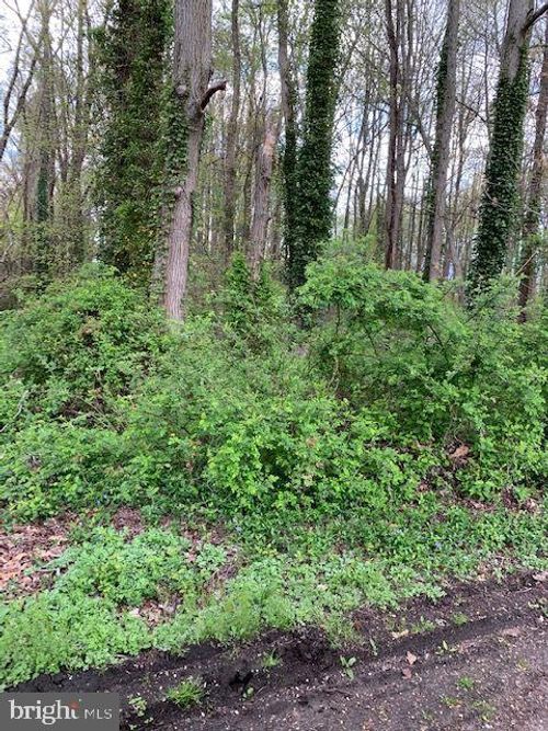 175 Mansfield Blvd N, CHERRY HILL, NJ, 08034 | Card Image