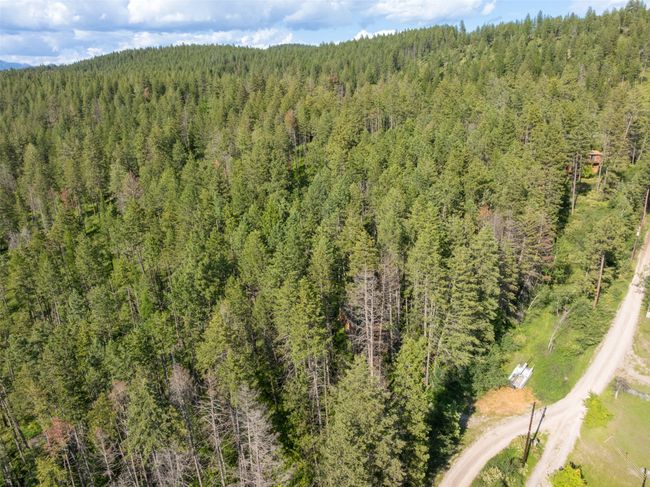 Bird's eye view of a heavily wooded area | Image 19