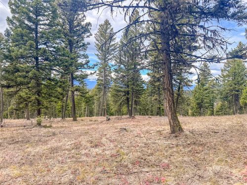 NHN Old Oregon Trl, Clinton, MT, 59825 | Card Image