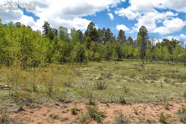 130 Eleven Mile State Park, Home with 0 bedrooms, 0 bathrooms and null parking in Lake George CO | Image 21