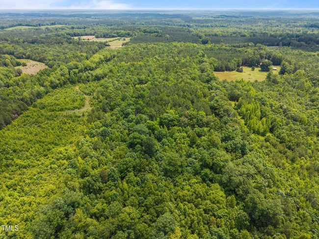 3-web-or-mls-DJI_20250530122054_0148_D | Image 8