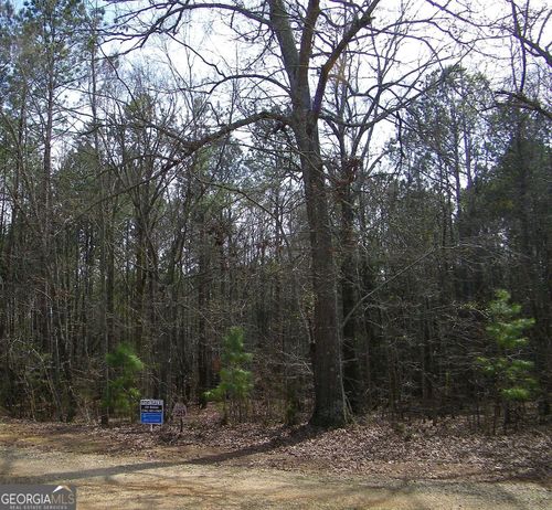 LOT 29 Benjamin Brown Ct, Elberton, GA, 30635 | Card Image