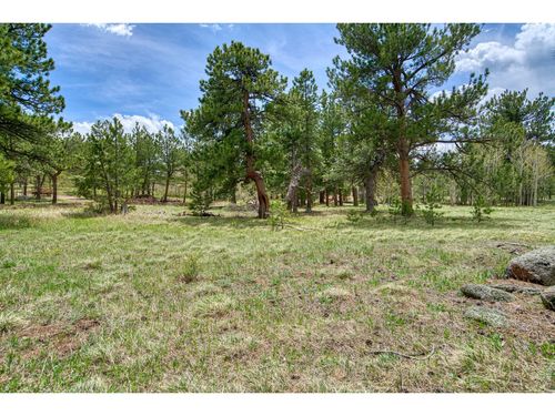 73 Sparn Way, Ward, CO, 80481-9506 | Card Image