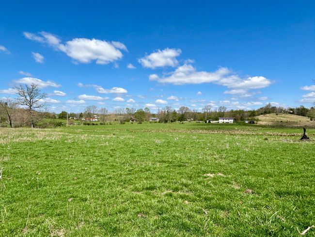 428 Dick Wilson Rd, Home with 0 bedrooms, 0 bathrooms and null parking in Strunk KY | Image 6