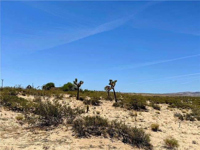 0 Amargo Rd, Home with 0 bedrooms, 0 bathrooms and null parking in Landers CA | Image 7