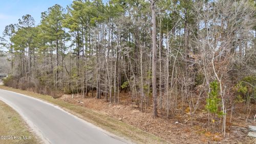 lot-4-4 Copperhead Ln, Burgaw, NC, 28425-3458 | Card Image