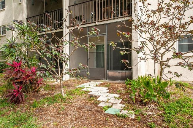 APT-103 - 845 Maple Ct, Condo with 2 bedrooms, 1 bathrooms and null parking in DUNEDIN FL | Image 22