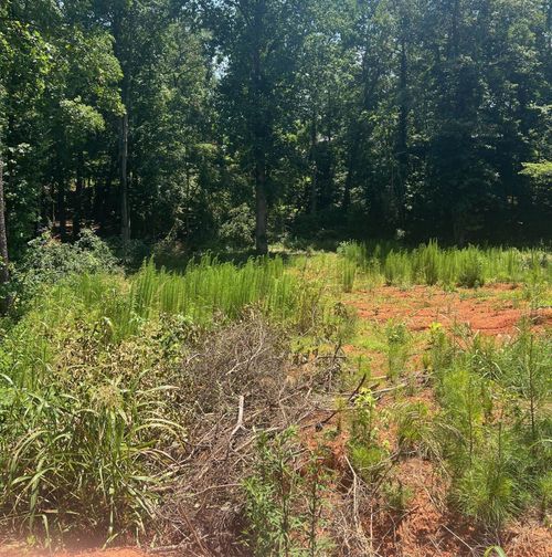 212 Farmington Ct, Moore, SC, 29369-8908 | Card Image
