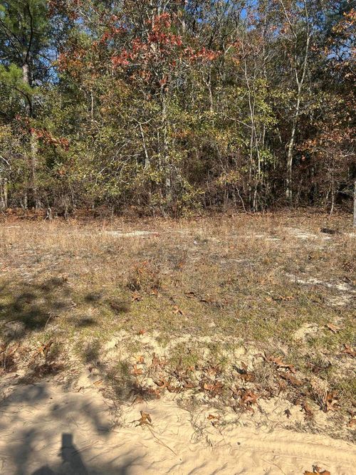 0 Hawthorn Trl, Saint Matthews, SC, 29135 | Card Image