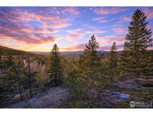 71 Pinecliff Trl, Nederland, CO, 80466-9691 | Card Image