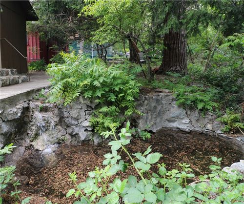 13992 Irving Ln, Lytle Creek, CA, 92358 | Card Image