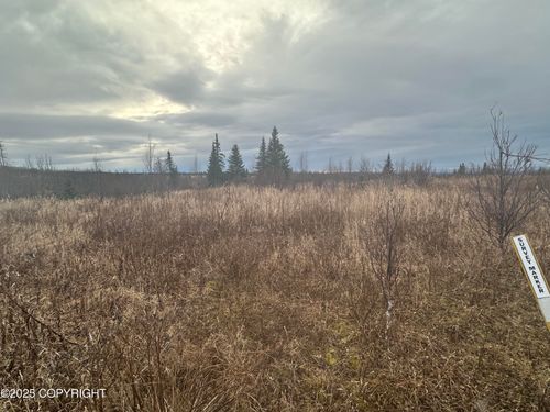 004 Wells St, Ninilchik, AK, 99639 | Card Image