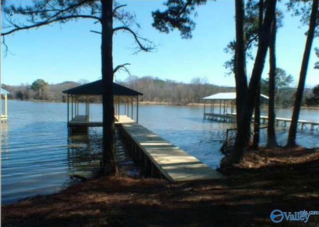 331 John Cabaniss Rd, Home with 0 bedrooms, 0 bathrooms and null parking in Langston AL | Image 8