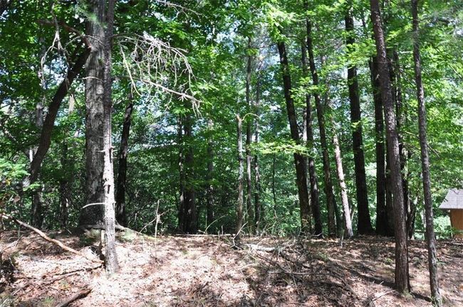 64 Wrens Nest, Home with 0 bedrooms, 0 bathrooms and null parking in Big Canoe GA | Image 7