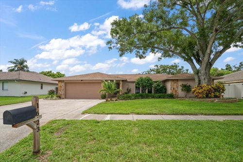 1623 El Tair Trl, CLEARWATER, FL, 33765-1817 | Card Image
