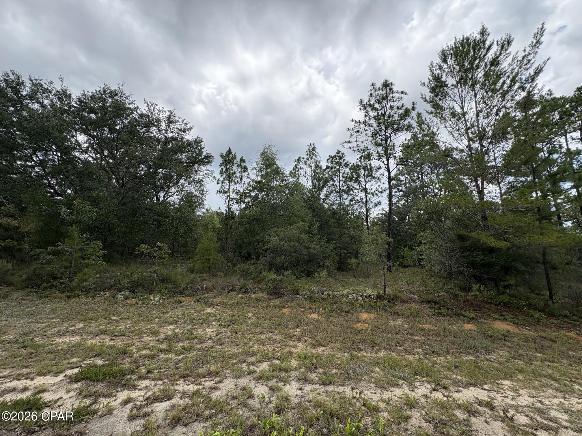 Land in Chipley 2