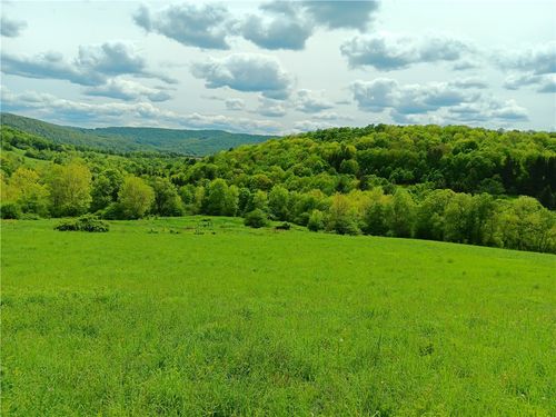 785 Kiff Brook Rd, Bloomville, NY, 13739-1169 | Card Image
