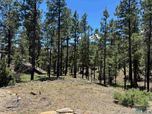 65 Club House Dr, Rociada, NM, 87742-1025 | Card Image