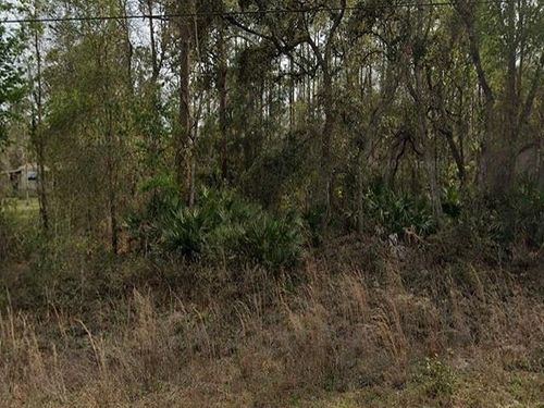 0 Britt St, Interlachen, FL, 32148 | Card Image