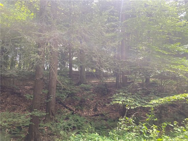 925 Haytown Rd, Home with 0 bedrooms, 0 bathrooms and null parking in Grampian PA | Image 8