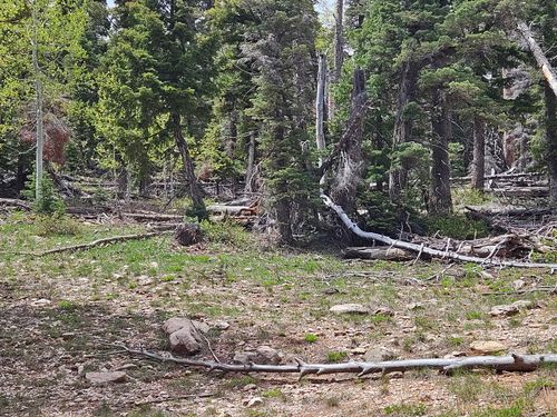 6250 Valley View Dr, Duck Crk Vlg, UT, 84762 | Card Image