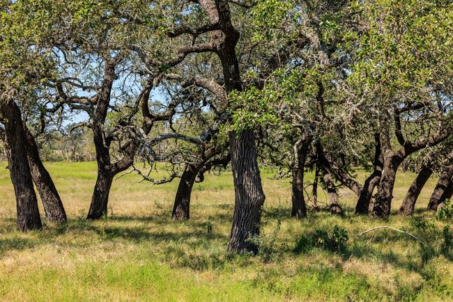 2250 Otte Rd, Home with 2 bedrooms, 2 bathrooms and 2 parking in Stonewall TX | Image 23