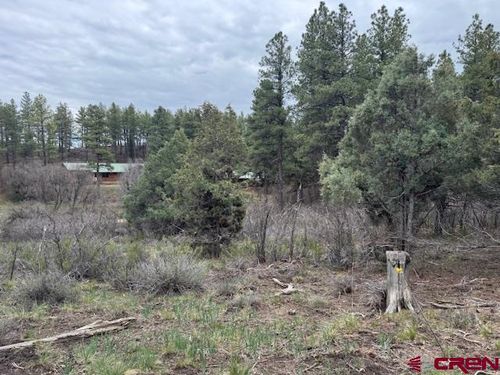 512 Jack Rabbit Road, Pagosa Springs, CO, 81147 | Card Image
