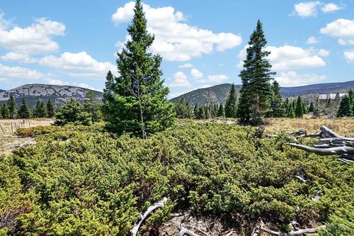 TBD Panadero Loop, La Veta, CO, 81055 | Card Image