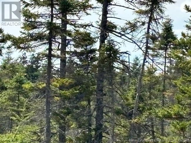 454 St Martins Rd, Home with 0 bedrooms, 0 bathrooms and null parking in Saint John NB | Image 9