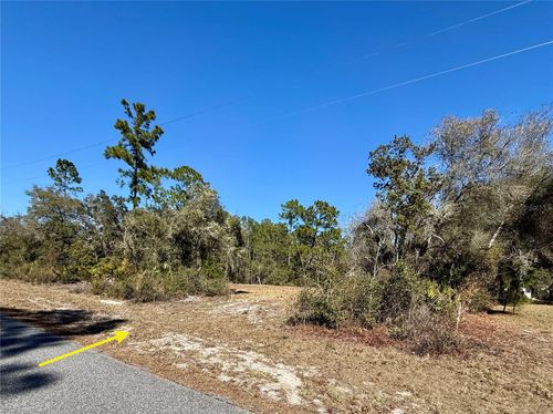 LOT 11 Poinciana St, EUSTIS, FL, 32736 | Card Image