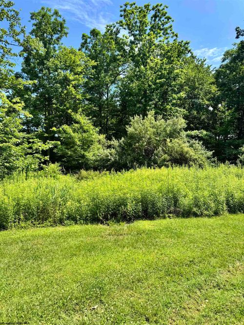 TBD Woodview Ln, Bruceton Mills, WV, 26525 | Card Image