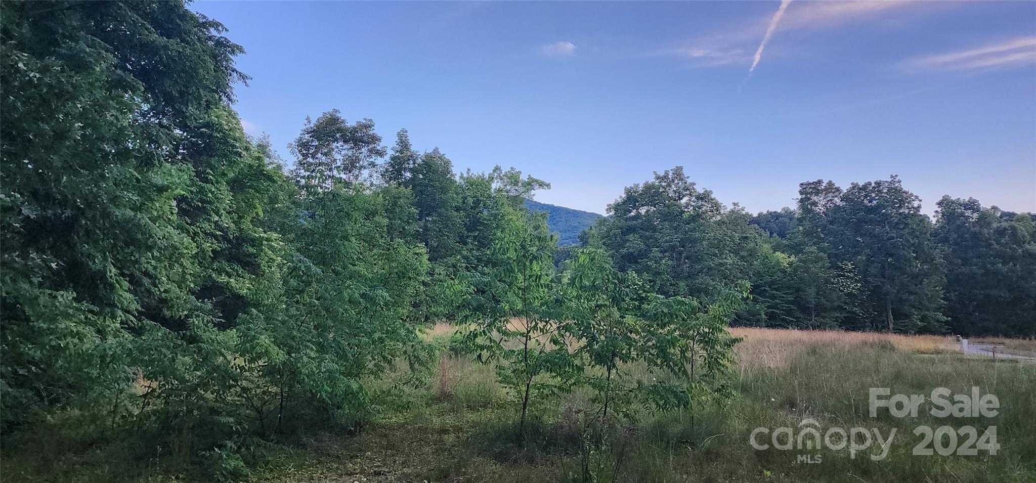Land in Waynesville 2