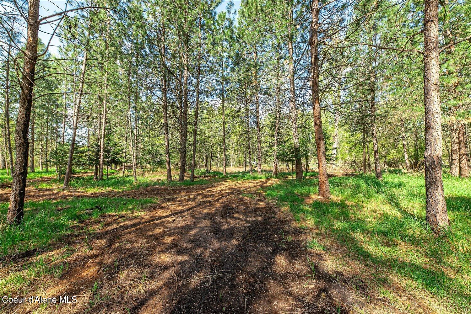 Land in Cataldo 5