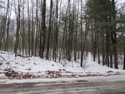 Lot 40 Hill And Dale Dr, MINOCQUA, WI, 54548 | Card Image