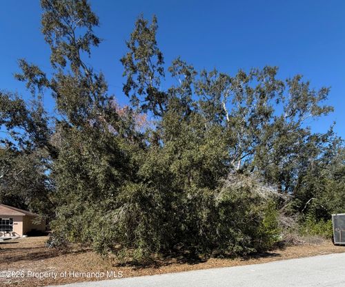 0 Sylvia Ave, Spring Hill, FL, 34606 | Card Image