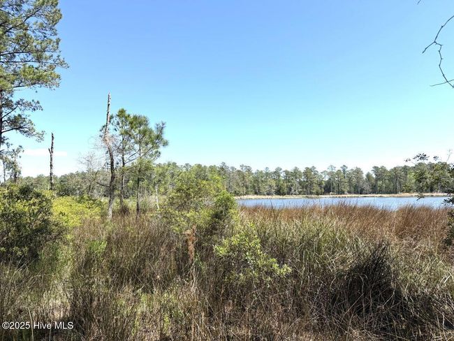 18 Davis Ln, Home with 0 bedrooms, 0 bathrooms and null parking in Belhaven NC | Image 18