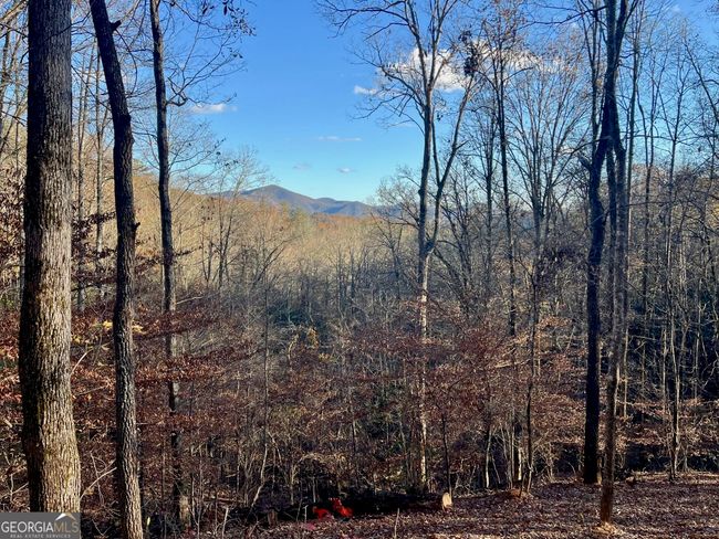 0 Shadow Mountain Dr, Home with 0 bedrooms, 0 bathrooms and null parking in Dillard GA | Image 7