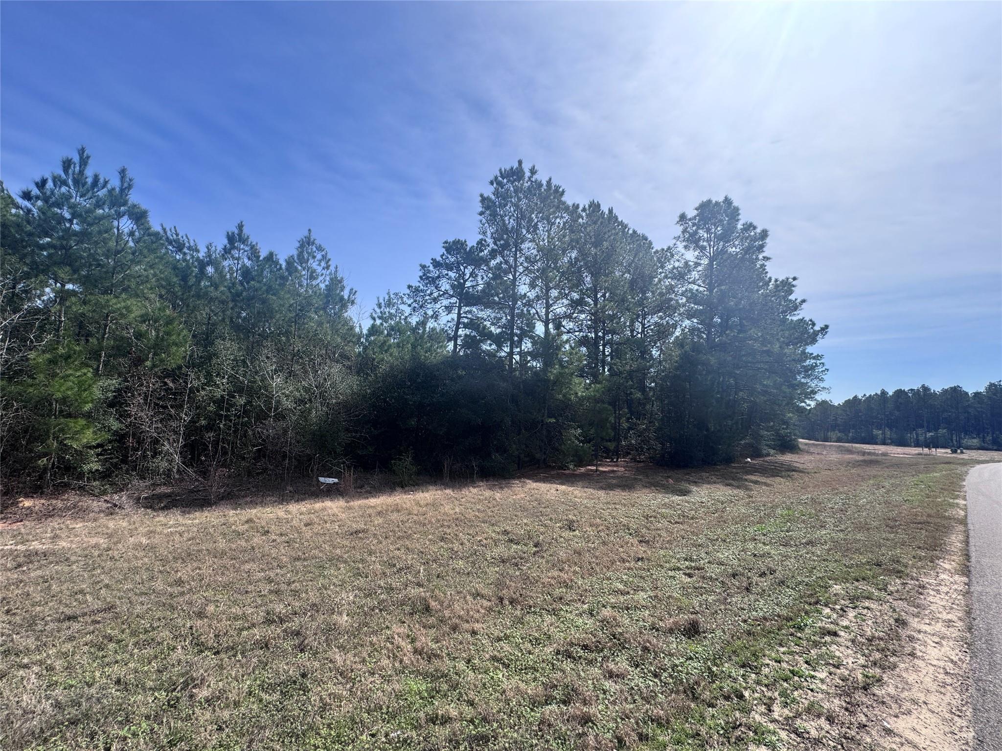 Land in Willis 5