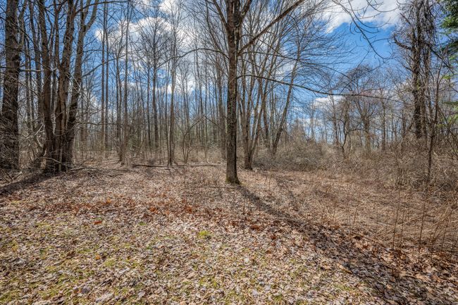 277 Main St N, House other with 2 bedrooms, 1 bathrooms and null parking in Bethlehem CT | Image 32