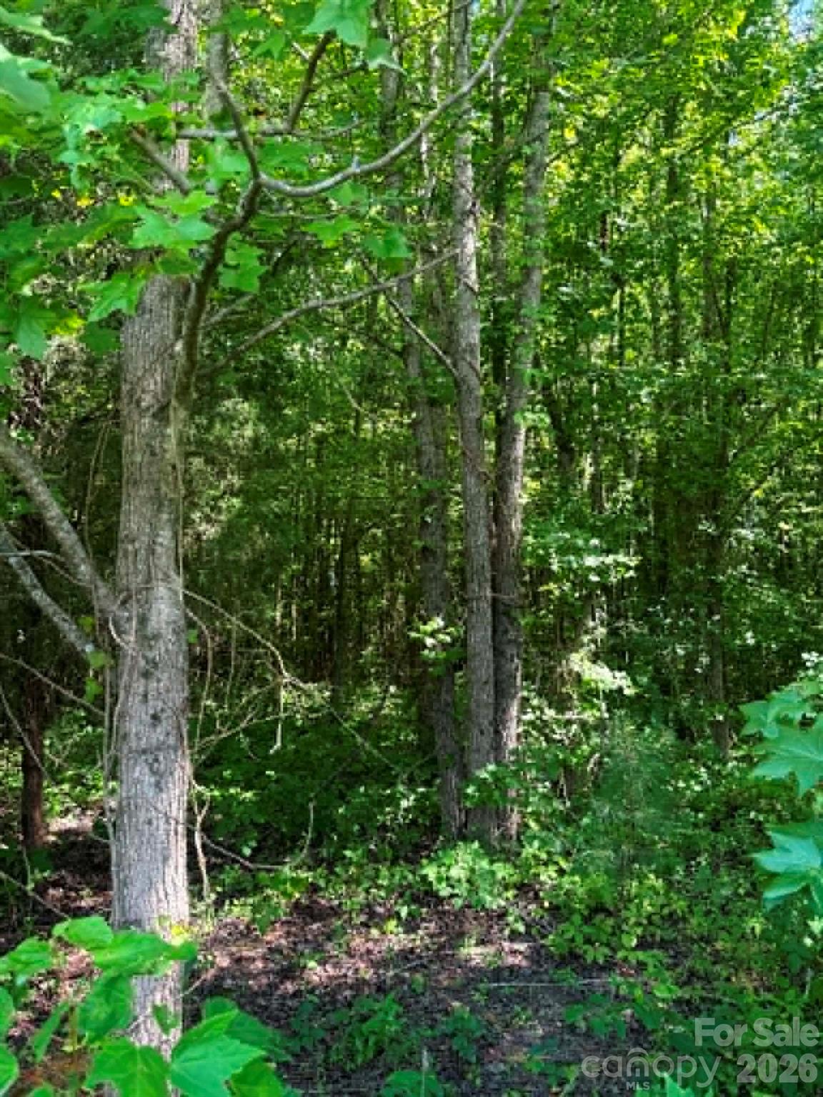 Land in Richfield 5