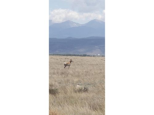 72 Inca Trl, San Luis, CO, 81152 | Card Image