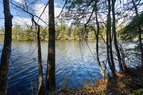 lot-8-TBD Branch View Terrace, Alfred, ME, 04002 | Card Image